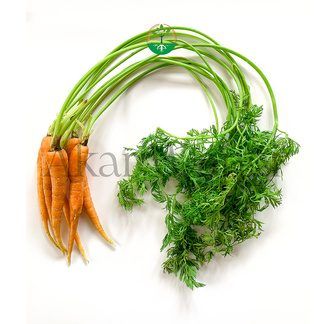 Baby Carrot