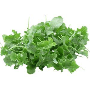 Baby Kale