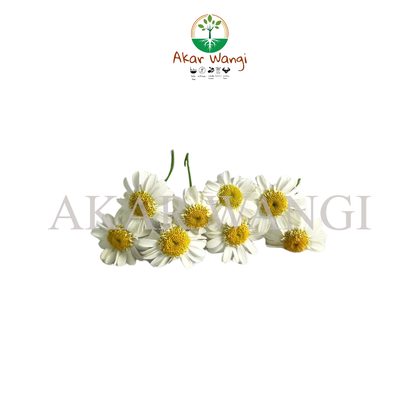 Chamomile