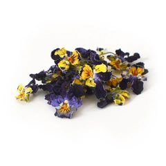 Dried Viola