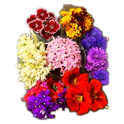 Edible Flower Mix