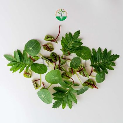 Edible Leaves Mix