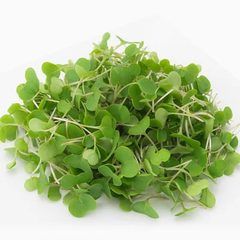 Kale