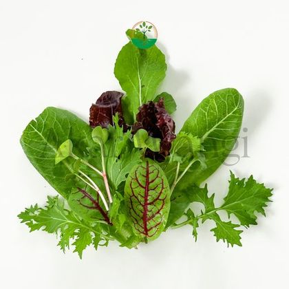 Mesclun