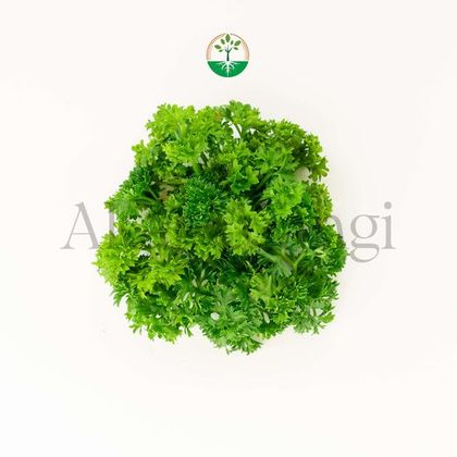 Parsley