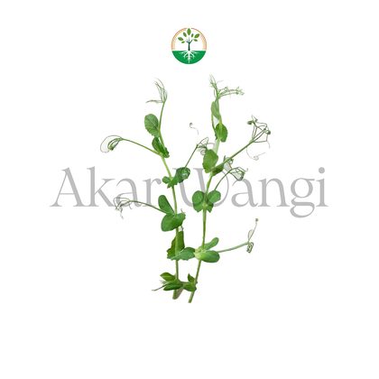 Pea Tendril