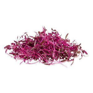 Red Amaranth