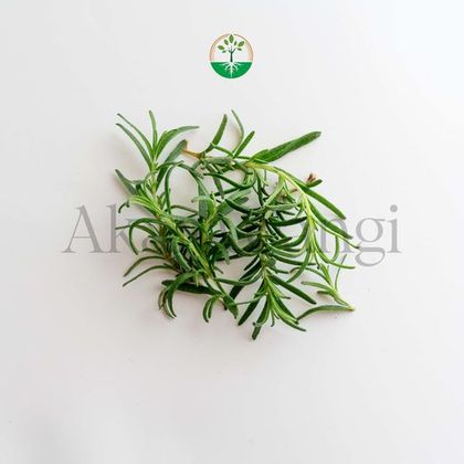 Rosemary