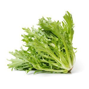 Salanova Frisee Green